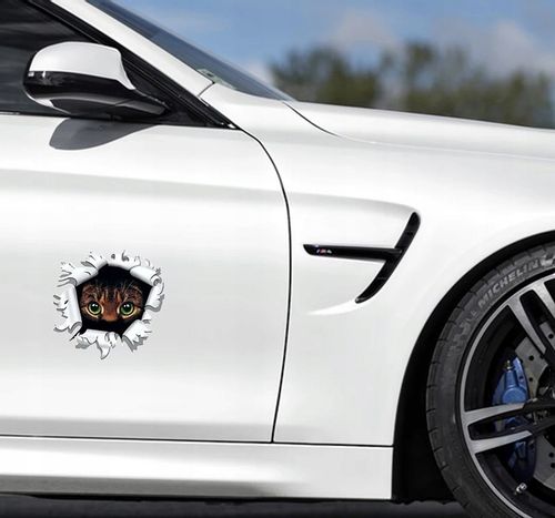 Wlepa Kocie Oczy Koteczek Słodziaczek Kicia Dziura na Arena.pl