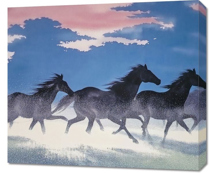 Obraz 70x60cm Wolność i Swoboda zdjęcie 1