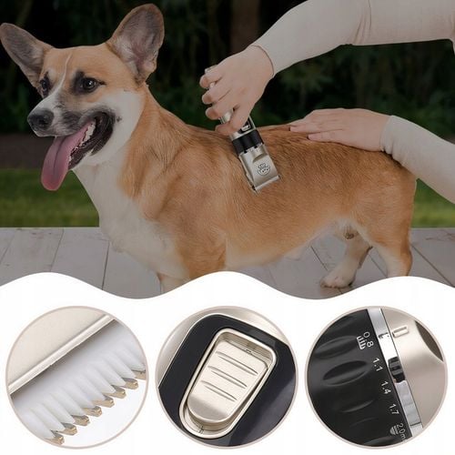 MASZYNKA DO STRZYŻENIA PSA KOTA KOTÓW PSÓW ZESTAW GOLARKA 11 ELEMENTÓW pies na Arena.pl