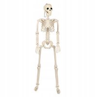 SZKIELET CZŁOWIEKA SZKIELETOR KOŚCIOTRUP CZASZKA DEKORACJA HALLOWEEN 93CM