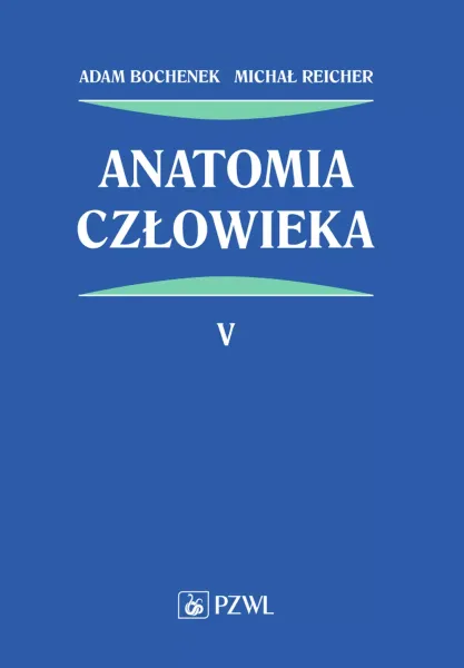 Anatomia człowieka. Tom 5 zdjęcie 1