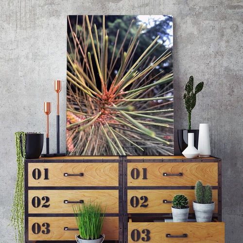 Deco Panel, Sosnowe igły 40x60 na Arena.pl