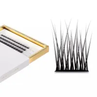 Master Box V-Lashes Divine Zestaw kępek 8-14mm CC