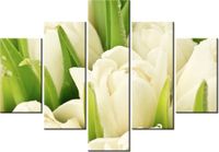 product-compare-58676231