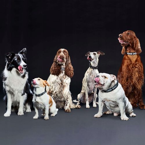 Torba transporter dla psa do 7kg John Dog na Arena.pl