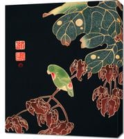 Obraz 60x70cm The Paroquet, Jakuchu Japoński Vintage