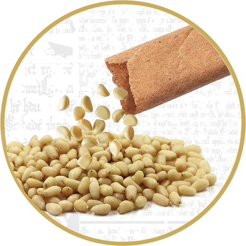 !!! CLE Harry Potter Terrarium 19248 na Arena.pl