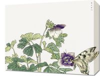 Obraz 50x40cm Motyl z Kwiatem Morimoto Toko Japoński Vintage do Salonu