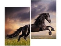 80X70CM OBRAZ KOŃSKI BUNT DUO OBRAZ