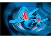 120CM 80CM OBRAZ ŚCIENNY NIEBIESKIE KOSMICZNE KWIATY JAKUB BANAŚ