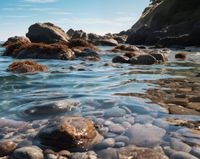 Plakat 76x60,5cm Harmonia Przybrzeżna