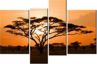 product-compare-58696253