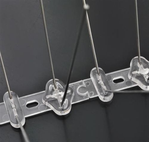 Kolce na ptaki na Arena.pl