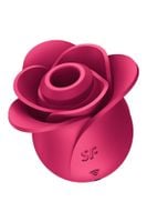 pro 2 modern rose