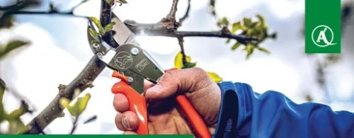 ZESTAW SEKATOR RĘCZNY do CIĘCIA GRUBYCH GAŁĘZI LOWE 10 .107 + OSTRZAŁKA na Arena.pl