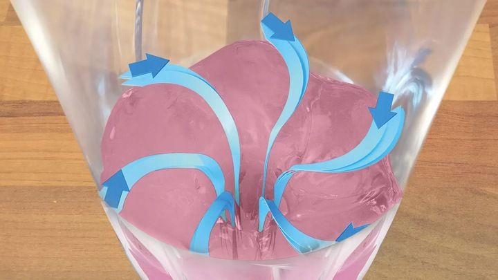 Blender kielichowy Bosch MMB2111T 450W Stalowe ostrze Butelka ToGo Sportowy zdjęcie 9