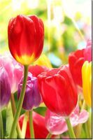 product-compare-58702737