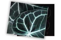 product-compare-60660896