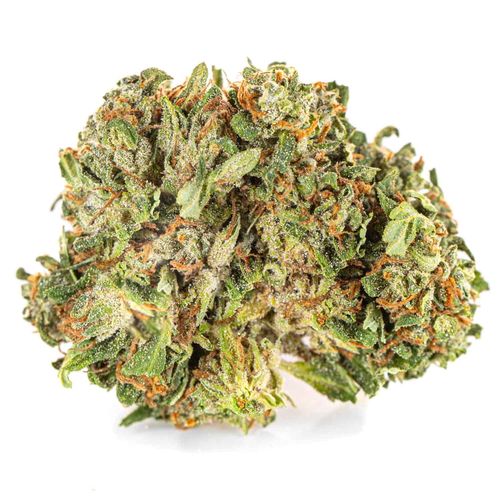 Susz konopny Lemon Haze CBD SUPER AMSTERDAM Exclusive Weed 2g na Arena.pl