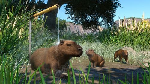Planet Zoo - Pakiet Zwierząt z Mokradeł PL DLC (PC) Klucz Steam na Arena.pl