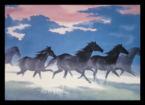 Plakat 29,7x21cm Wolność i Swoboda na Arena.pl