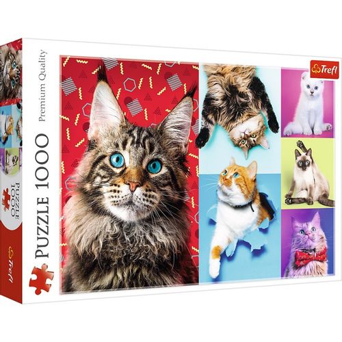 Puzzle 1000 Elementów Wesołe Koty na Arena.pl