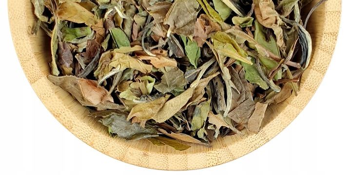 Herbata Biała Pai Mu Tan 500g - Herbata Liściasta Pai Mu Dan - Ziołowy Dwór zdjęcie 3