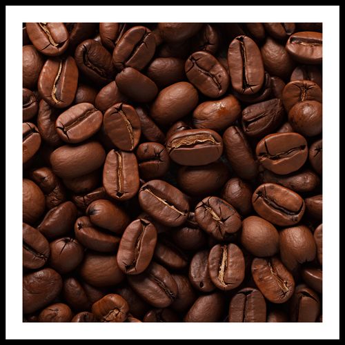 Plakat 80x80cm Esencja Aromatu na Arena.pl