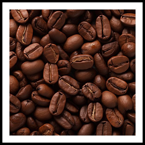 Plakat 80x80cm Esencja Aromatu zdjęcie 3