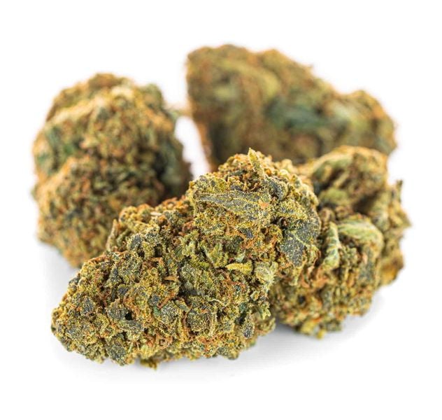 Susz konopny CBD Amnesia Haze 10 g zdjęcie 5