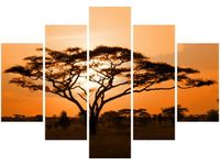 product-compare-58696252