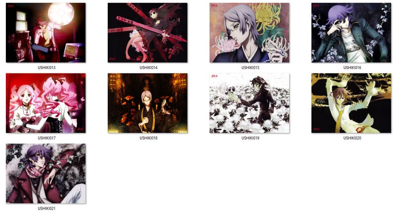 Poduszka Shiki DO WYBORU zdjęcie 2