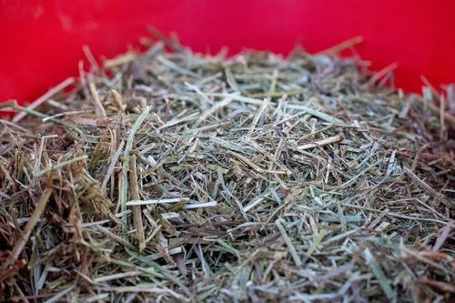 Sieczka Hartog Digest 15 kg sieczka dla koni wrzodowych na Arena.pl