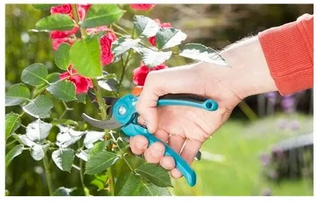 Sekator nożyce ogrodowy GARDENA Classic B/S-M zdjęcie 5