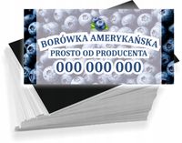 Wizytówki firmowe 200 szt RÓŻNE WZORY do wyboru BORÓWKA AMERYKAŃSKA