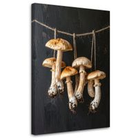 Obraz do kuchni restauracji baru jadalni, Suszone grzyby borowiki