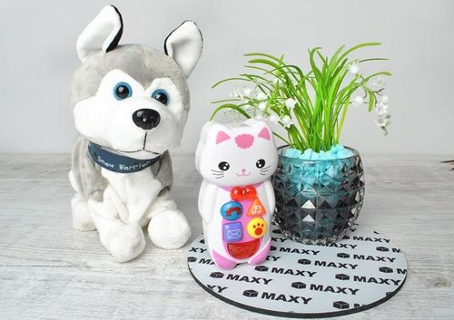 Telefon interaktywny - kotek na Arena.pl