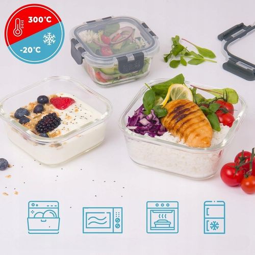 10 X LUNCHBOX SZKLANE POJEMNIKI NA ŻYWNOŚĆ USZCZELKA ŻAROODPORNE ZESTAW na Arena.pl