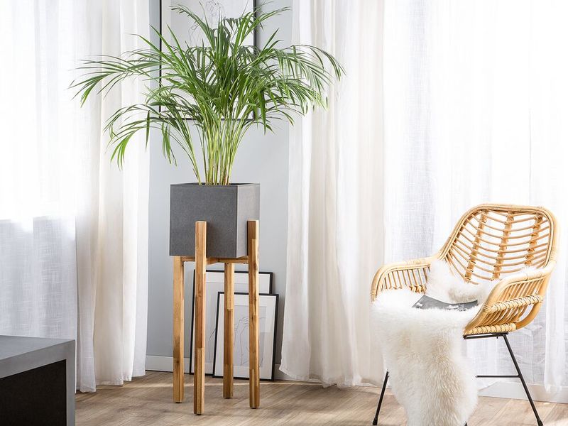 Kwietnik szary DRIMOS zdjęcie 2