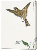 Obraz 70x100cm  Water-Pipit, Kashu Japoński Vintage do Salonu