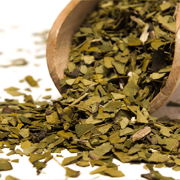 Verde Mate Green Organica 50 g zdjęcie 3