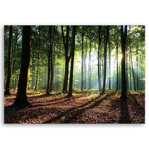 Emaga Obraz na płótnie, Las o wschodzie słońca - 90x60 na Arena.pl