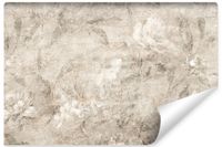 Fototapeta Kwiaty Rośliny BETON Mur Abstrakcja Vintage 315cm x 210cm