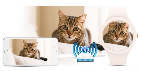 Smartwatch Damski Gravity GT14-1 na Arena.pl