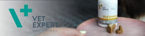 Preparat dla psów i kotów witaminy minerał Vet Expert Vetaminex 60 kapsułek na Arena.pl