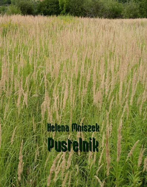 (epub, mobi) Pustelnik zdjęcie 1