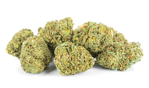 Susz konopny CBD | AMNESIA HAZE | 100 g na Arena.pl