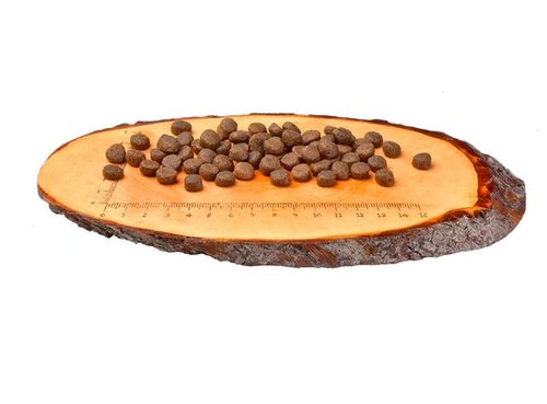 Karma bez zbóż i ziemniaków dla dużego kota - Carnilove KACZKA i INDYK 400g na Arena.pl