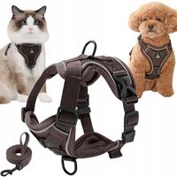 SZELKI BEZUCISKOWE TYPU GUARD + SMYCZ dla KOTA PSA