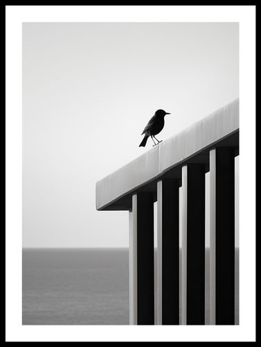 Plakat 39,5x55cm Samotna Odchłań na Arena.pl